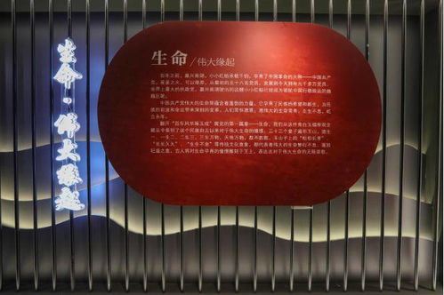 踐行文化公益 提升文化自信 神玉藝術(shù)館以傳統(tǒng)文化方式致敬建黨百年
