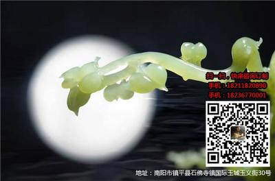 和田玉翠青 訂制服務(wù)與玉文化咨詢的融合之道